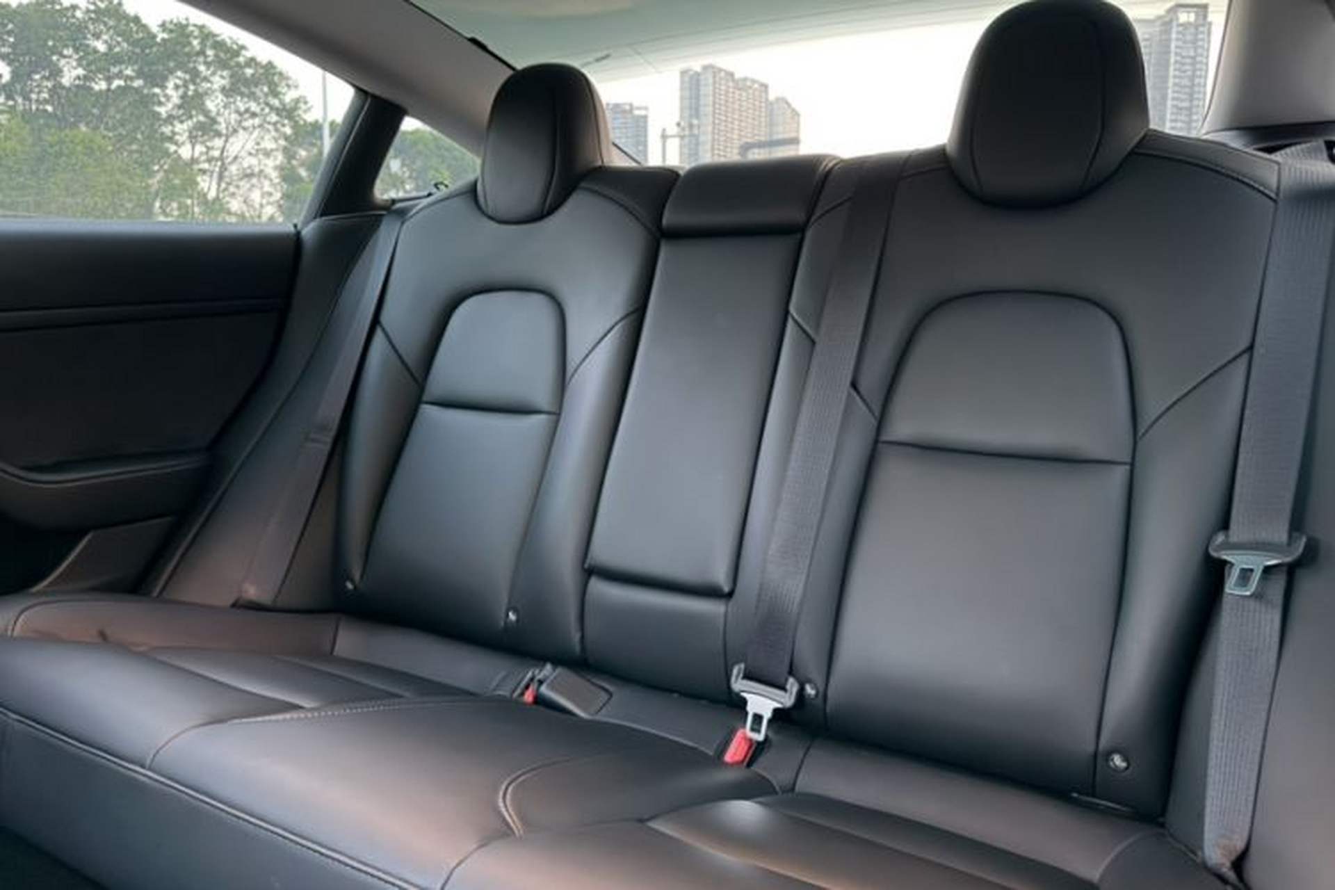 Used Tesla Model 3 2022 Rear-Wheel-Drive Version Interior 5