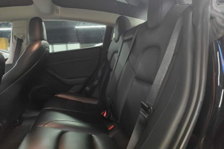 Used Tesla Model 3 2022 Rear-Wheel-Drive Version Left Rear Seat