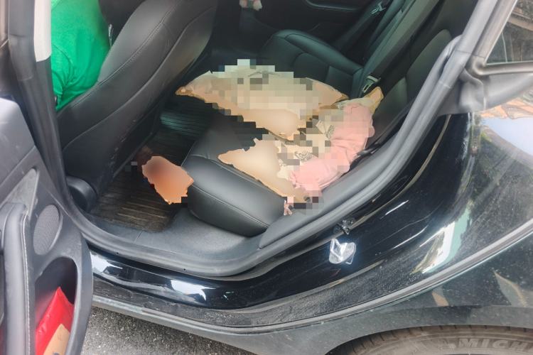 Used Tesla Model 3 2022 Rear-Wheel-Drive Version Left Rear Seat