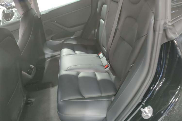 Used Tesla Model 3 2022 Rear-Wheel-Drive Version Left Rear Seat