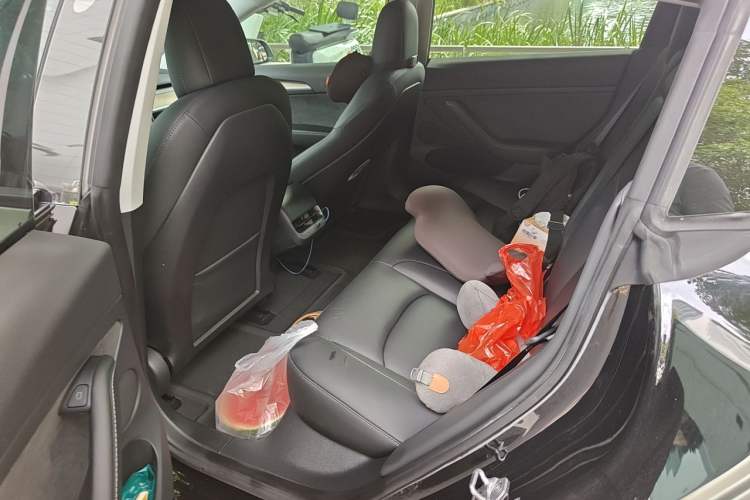 Used Tesla Model 3 2022 Rear-Wheel-Drive Version Left Rear Seat