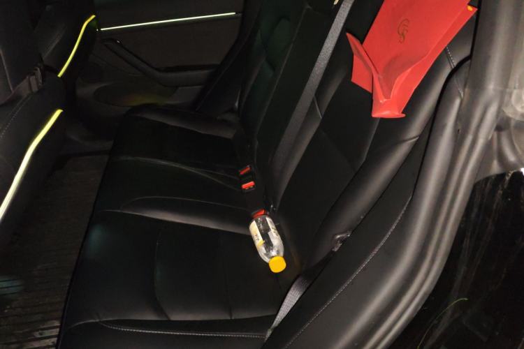 Used Tesla Model 3 2022 Rear-Wheel-Drive Version Left Rear Seat