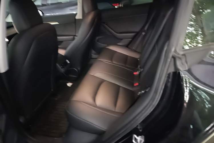 Used Tesla Model 3 2022 Rear-Wheel-Drive Version Left Rear Seat