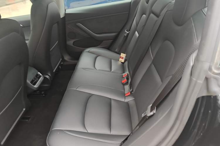 Used Tesla Model 3 2022 Rear-Wheel-Drive Version Left Rear Seat