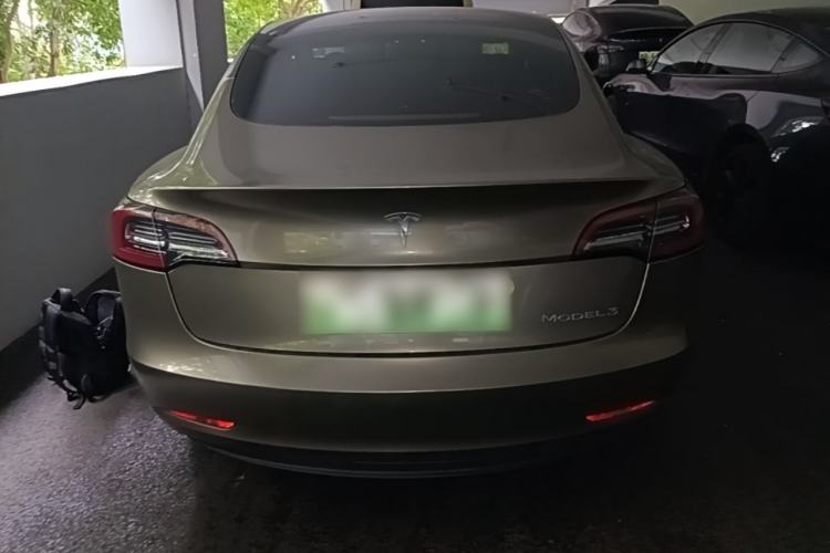 Used Tesla Model 3 2022 Rear-Wheel-Drive Version Rear