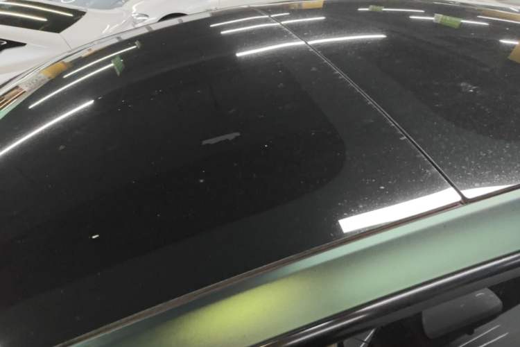 Used Tesla Model 3 2022 Rear-Wheel-Drive Version Roof