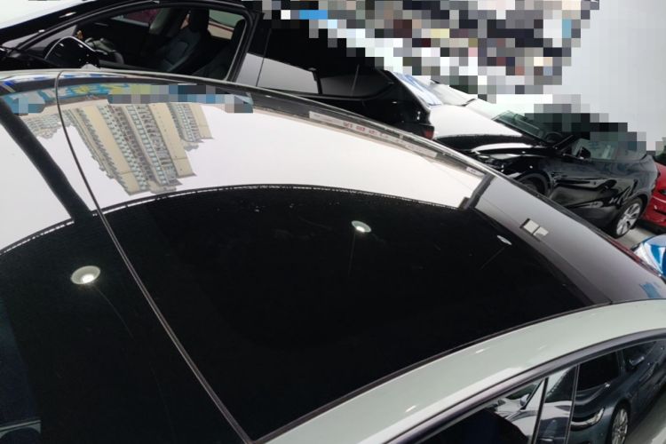 Used Tesla Model 3 2022 Rear-Wheel-Drive Version Roof