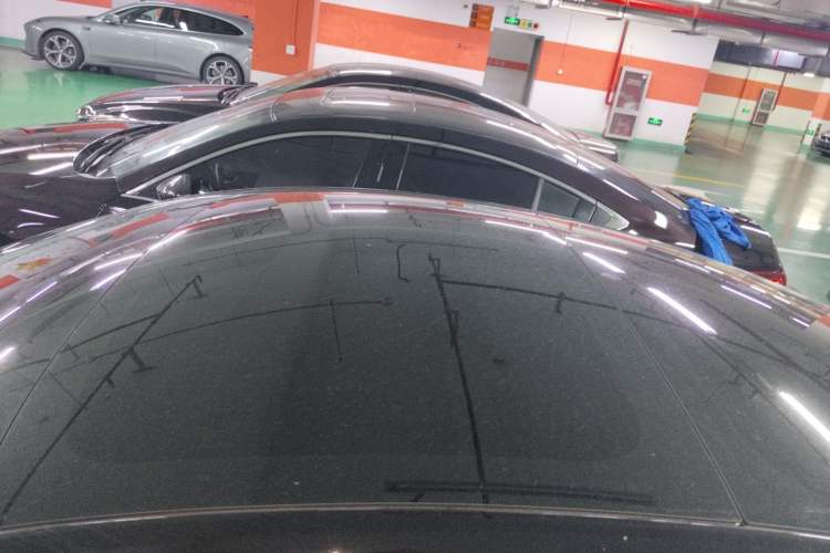 Used Tesla Model 3 2022 Rear-Wheel-Drive Version Roof