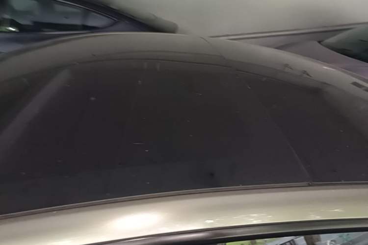 Used Tesla Model 3 2022 Rear-Wheel-Drive Version Roof