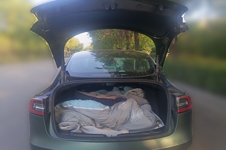 Used Tesla Model 3 2022 Rear-Wheel-Drive Version Trunk