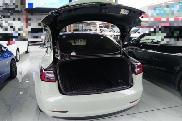 Used Tesla Model 3 2022 Rear-Wheel-Drive Version Trunk