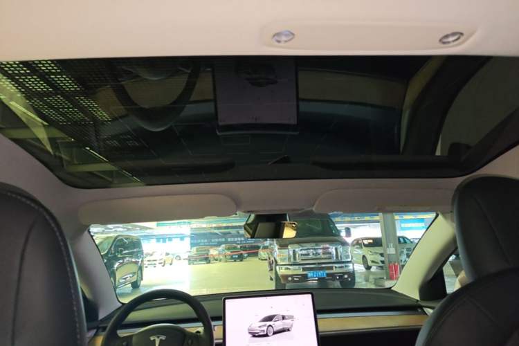 Used Tesla Model 3 2022 Rear-Wheel-Drive Version Headliner