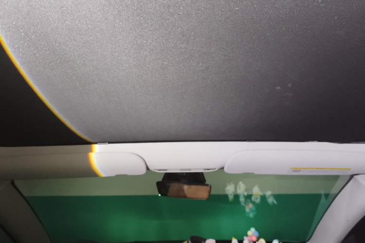 Used Tesla Model 3 2022 Rear-Wheel-Drive Version Headliner
