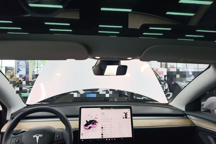 Used Tesla Model 3 2022 Rear-Wheel-Drive Version Headliner