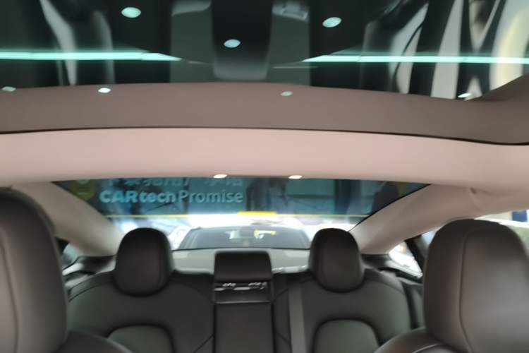Used Tesla Model 3 2022 Performance High-Performance All-Wheel-Drive Version Headliner