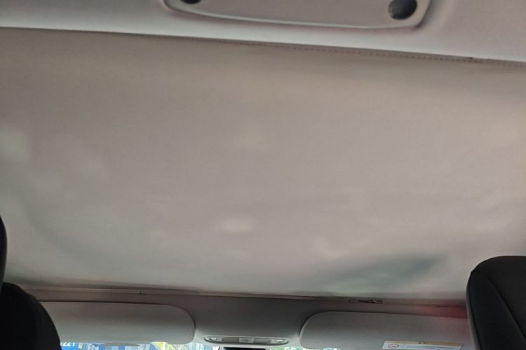Used Tesla Model 3 2022 Rear-Wheel-Drive Version Headliner