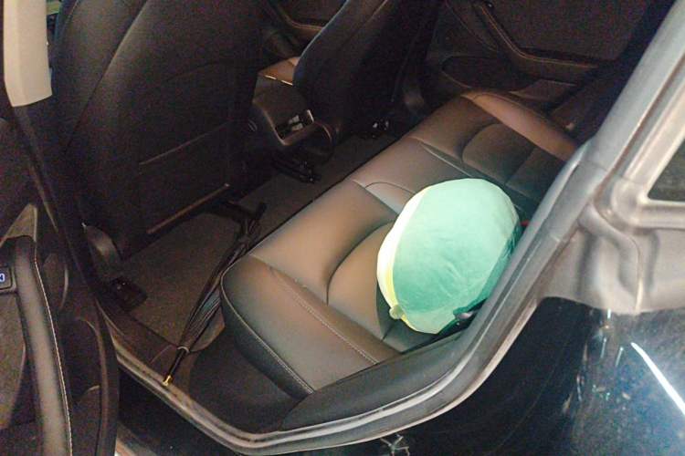 Used Tesla Model 3 2022 Rear-Wheel-Drive Version Left Rear Seat