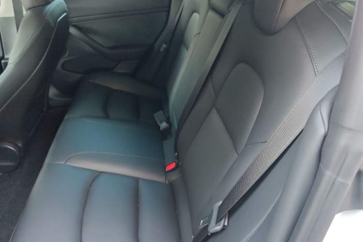 Used Tesla Model 3 2022 Rear-Wheel-Drive Version Left Rear Seat