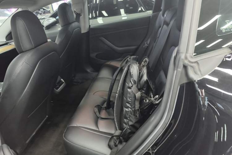 Used Tesla Model 3 2022 Rear-Wheel-Drive Version Left Rear Seat