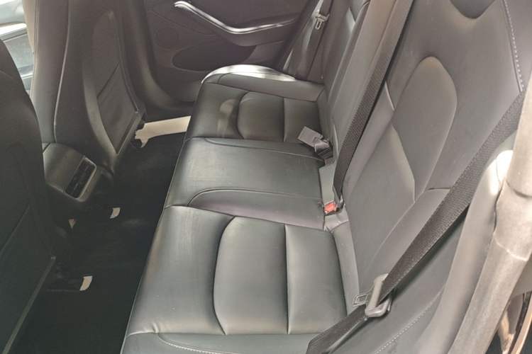 Used Tesla Model 3 2022 Rear-Wheel-Drive Version Left Rear Seat