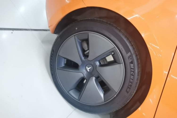 Used Tesla Model 3 2022 Rear-Wheel-Drive Version Exterior 5