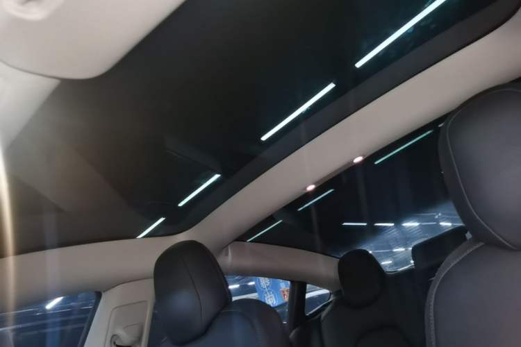 Used Tesla Model 3 2022 Rear-Wheel-Drive Version Headliner
