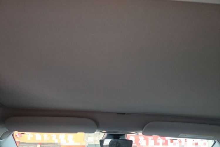 Used Tesla Model 3 2022 Rear-Wheel-Drive Version Headliner