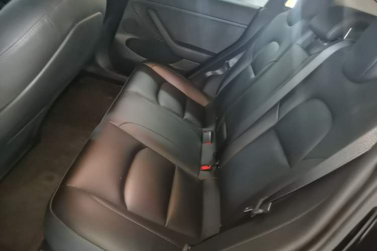 Used Tesla Model 3 2022 Rear-Wheel-Drive Version Left Rear Seat