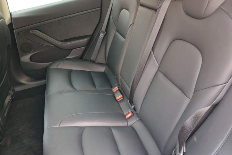 Used Tesla Model 3 2022 Rear-Wheel-Drive Version Left Rear Seat