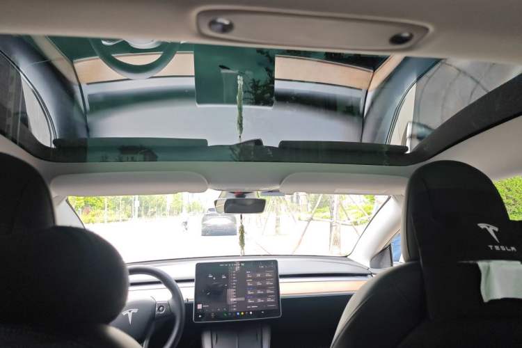 Used Tesla Model 3 2022 Rear-Wheel-Drive Version Headliner
