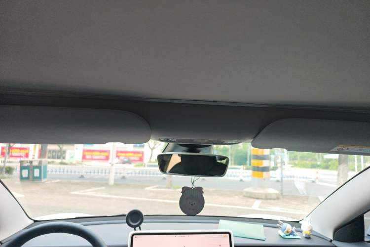 Used Tesla Model 3 2022 Rear-Wheel-Drive Version Headliner