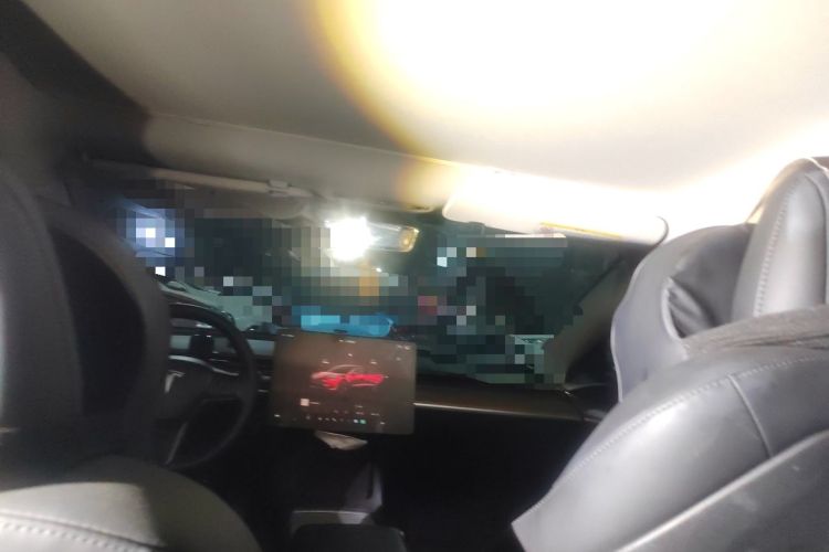 Used Tesla Model 3 2022 Rear-Wheel-Drive Version Headliner