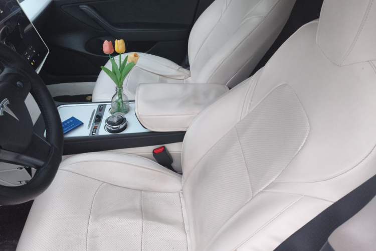 Used Tesla Model 3 2022 Rear-Wheel-Drive Version Left Front Seat