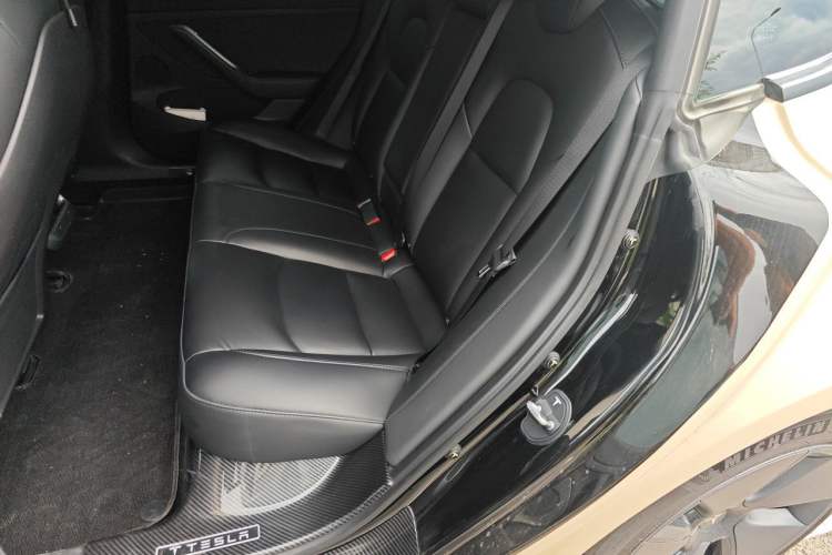 Used Tesla Model 3 2022 Rear-Wheel-Drive Version Left Rear Seat