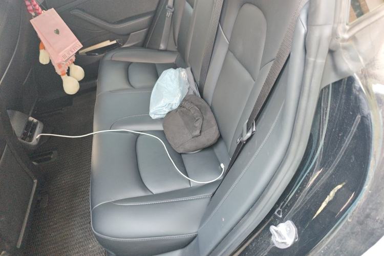 Used Tesla Model 3 2022 Rear-Wheel-Drive Version Left Rear Seat