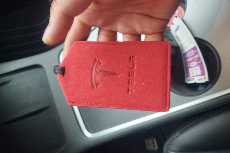 Used Tesla Model 3 2022 Rear-Wheel-Drive Version Vehicle Key