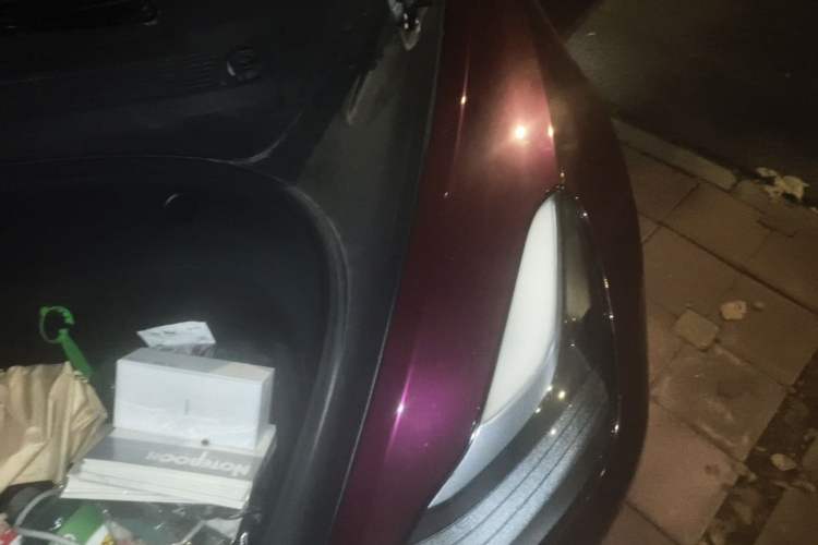 Used Tesla Model 3 2022 Rear-Wheel-Drive Version Engine Bay Left