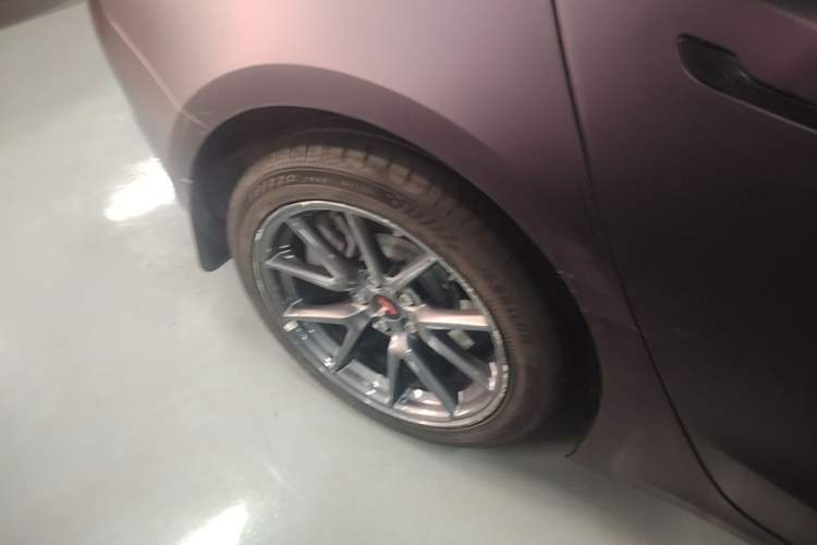 Used Tesla Model 3 2022 Rear-Wheel-Drive Version Exterior 5