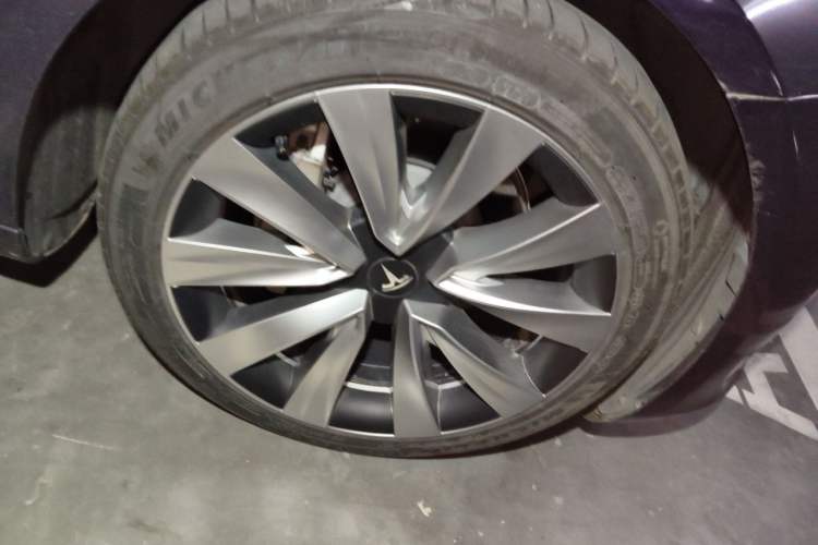 Used Tesla Model 3 2022 Rear-Wheel-Drive Version Exterior 7