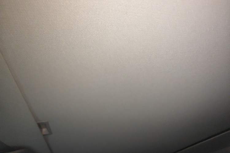 Used Tesla Model 3 2022 Rear-Wheel-Drive Version Headliner