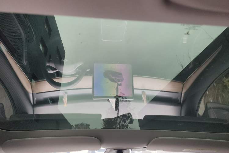 Used Tesla Model 3 2022 Rear-Wheel-Drive Version Headliner