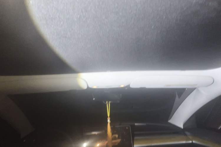 Used Tesla Model 3 2022 Rear-Wheel-Drive Version Headliner