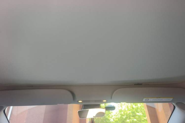 Used Tesla Model 3 2022 Rear-Wheel-Drive Version Headliner