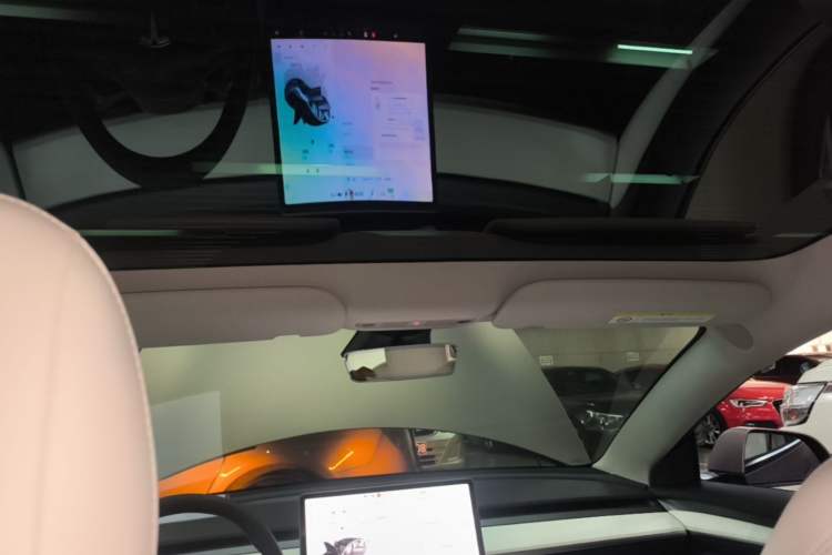 Used Tesla Model 3 2022 Performance High-Performance All-Wheel-Drive Version Headliner