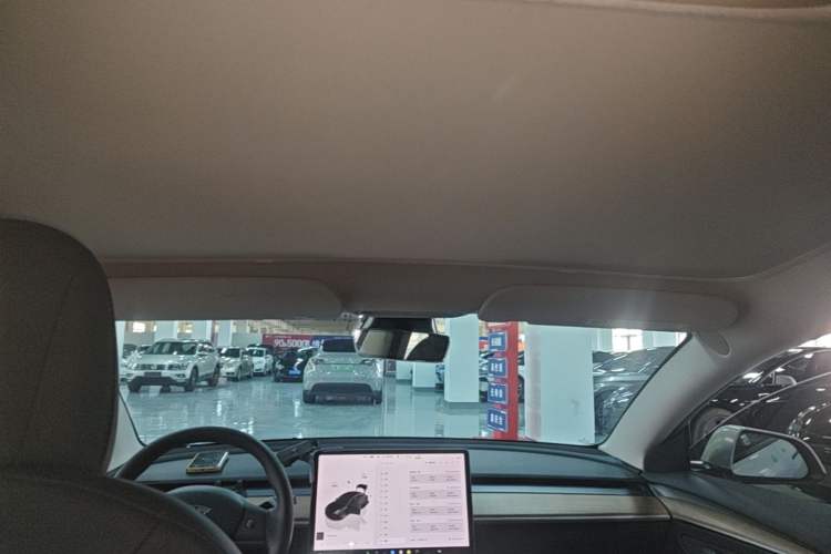 Used Tesla Model 3 2022 Performance High-Performance All-Wheel-Drive Version Headliner