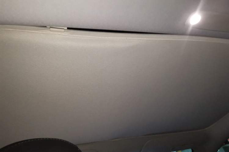 Used Tesla Model 3 2022 Rear-Wheel-Drive Version Headliner