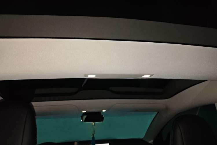 Used Tesla Model 3 2022 Rear-Wheel-Drive Version Headliner