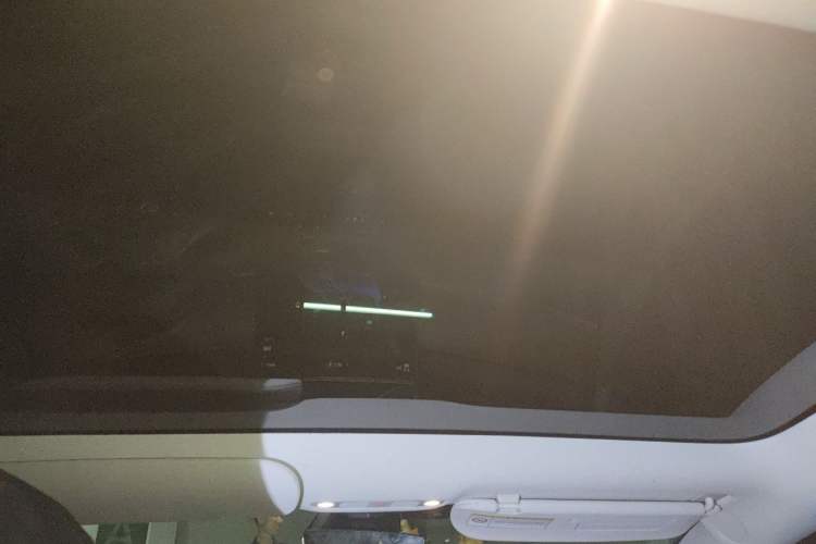 Used Tesla Model 3 2022 Rear-Wheel-Drive Version Headliner