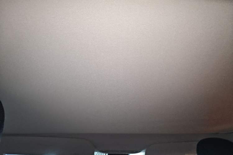 Used Tesla Model 3 2022 Rear-Wheel-Drive Version Headliner