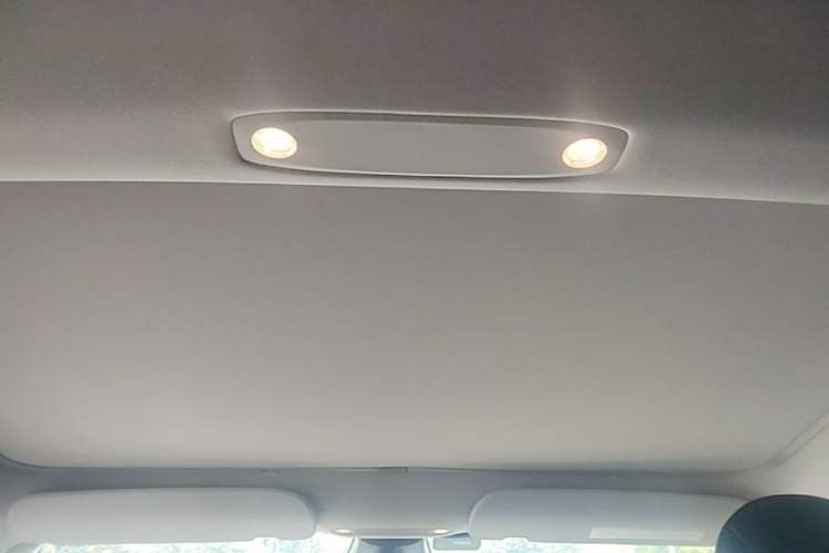Used Tesla Model 3 2022 Rear-Wheel-Drive Version Headliner